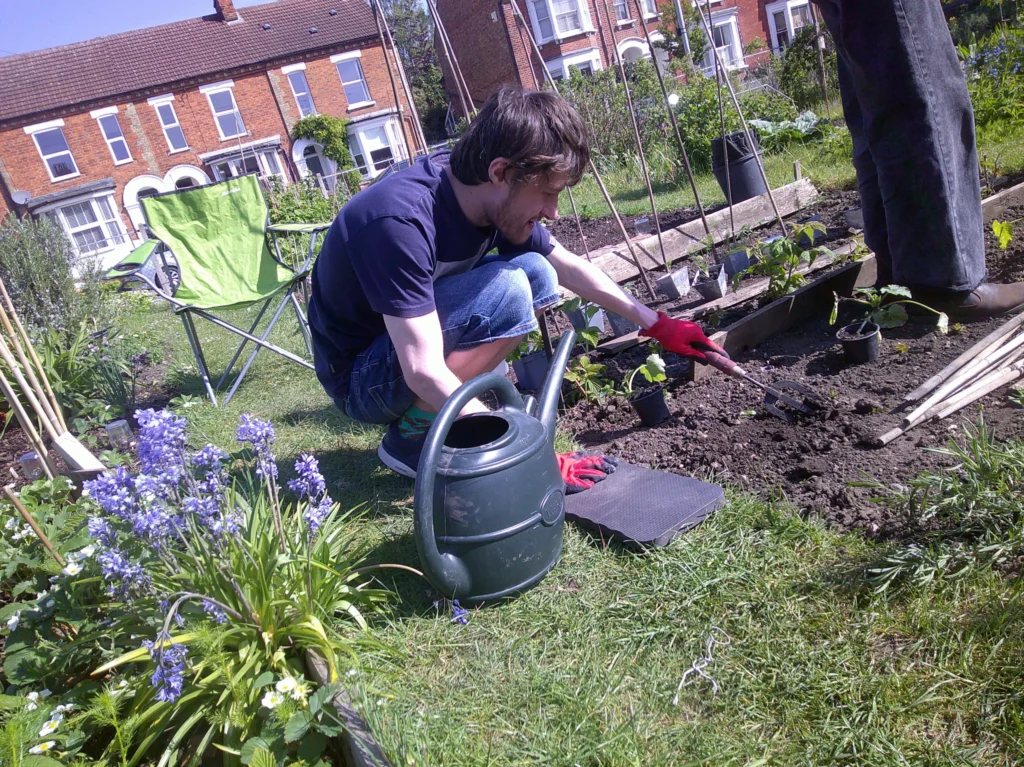 allotment-3